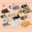 Champion Ranch 3 - Rugs 🐮 logo