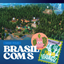 Save File Brasil com S logo