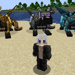 Dragon Mounts Legacy: Dragon Armor