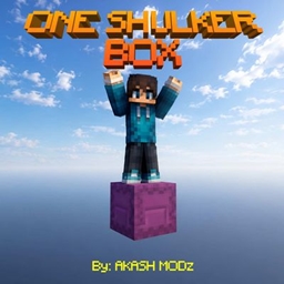 ONE SHULKER BOX project image