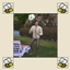 No Active Trait Idle logo