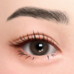 Brows 79 HQ project image