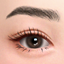 Brows 79 HQ logo