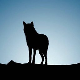 Wolf's Light