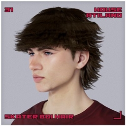 Skater Boi Hair | A Mens Hairstyle #31 logo