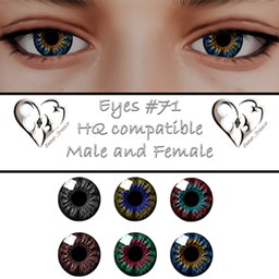 Eyes #71 project image