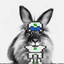 CheremshaCraft logo
