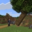 Tree Physics logo