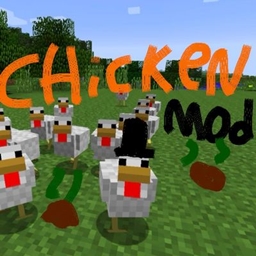 Chickens chickens chickens project image