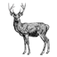 Stag & Steel logo