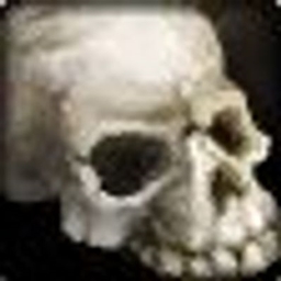 Kill Window project image