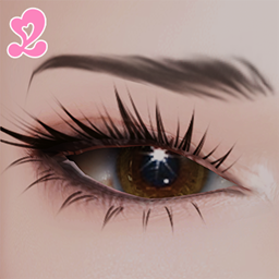 Anaya Eyebrows project image
