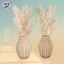 Pampas Grass - Wave Whispers series logo