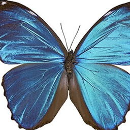 HouseAuras project image