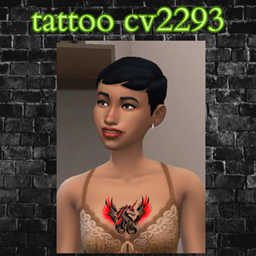 tattoo cv2293 project image
