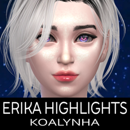 Erika Highlighter project image