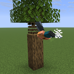 Elytra_B