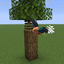 Elytra_B logo