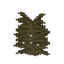 FERN! logo