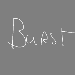 Burst project image