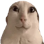 Pure Shenanigans logo