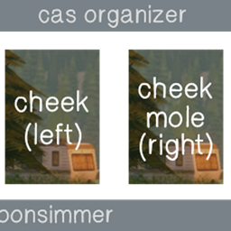 cas organizer by honeymoonsimmer 🌲 project image