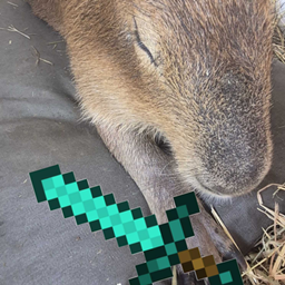 Capybaras wepons and stuff project image
