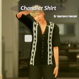Friends: Chandler Shirt project image