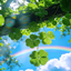 Animated Menu: Lucky Four Leaf Clover logo