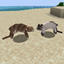 Cat Fighting logo