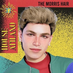 The "Morris" Hair | A mens updo Hairstyle #37 project image