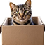 petcraftia logo