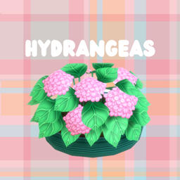 Hydrangeas