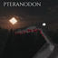 Pteranodon logo