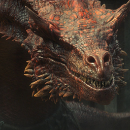 Dragons n' Stuff