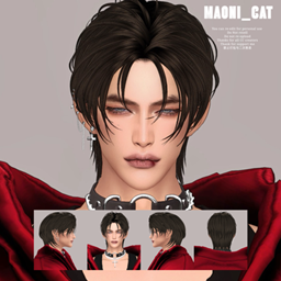 [Maoni_cat]Maxis HAIR No.2 project image
