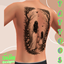 Jane Tattoos JTS1119 - Basegame Compatible logo