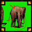 One in 5000 Elephant Green Screen logo