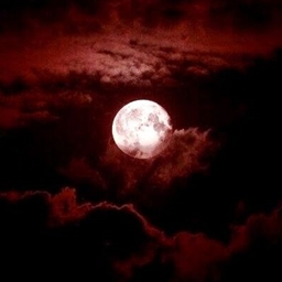 Endless Bloody Nights project image