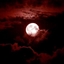Endless Bloody Nights logo
