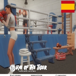 Eye Of The Tiger set By Syboulette Spanish Translation project image