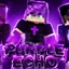 Purple Echo logo