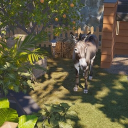 Decorative Donkey logo