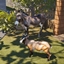 Decorative Goat logo