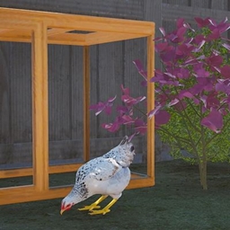 Decorative White Hen logo