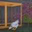Decorative White Hen logo