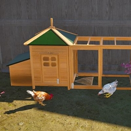 Decorative_Chicken_Coop logo