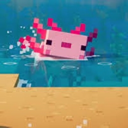 A Community Server