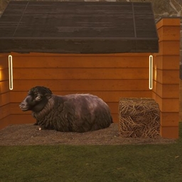 Decorative Black Sheep logo