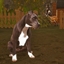 Decorative Staffie logo